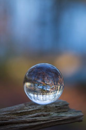 Door een glazen bal #4