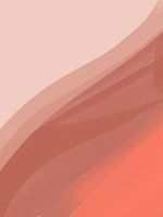 Coral IV