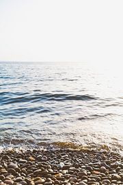 lesbos 8 sur Andy Troy