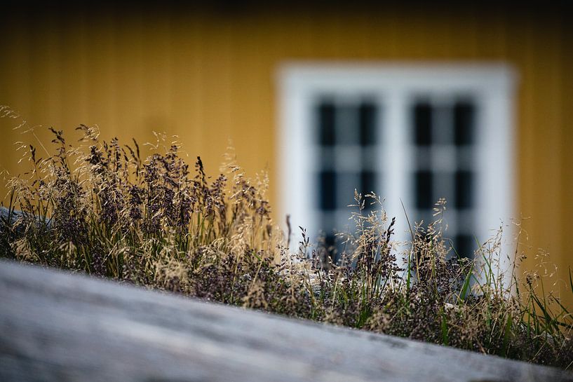 Colonial property in Qeqertarsuaq, Greenland by Martijn Smeets