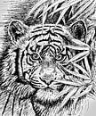 King Of The Jungle In Black And White van GittaGsArt thumbnail