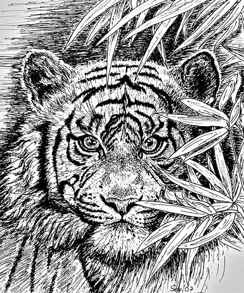 King Of The Jungle In Black And White van GittaGsArt