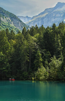 Emerald Silence – Blausee, Switzerland