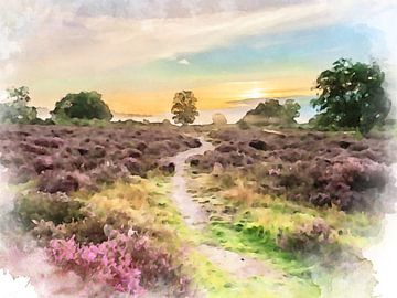Horneboegse Heide, Hilversum, Nordholland. von Danny de Klerk