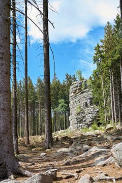 Flint Cliffs bij Schierke in het Harz Nationaal Park