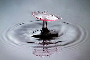 Red splash von Dennis van de Water