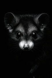 Marten van Poster Art Shop