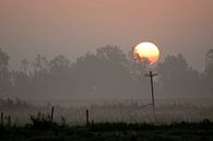 Bird enjoying the sunrise van Marco de Groot thumbnail