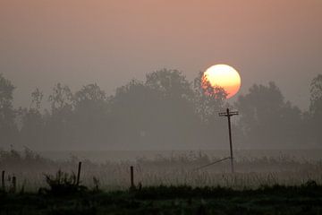 Bird enjoying the sunrise van Marco de Groot