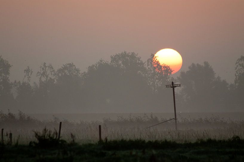 Bird enjoying the sunrise van Marco de Groot