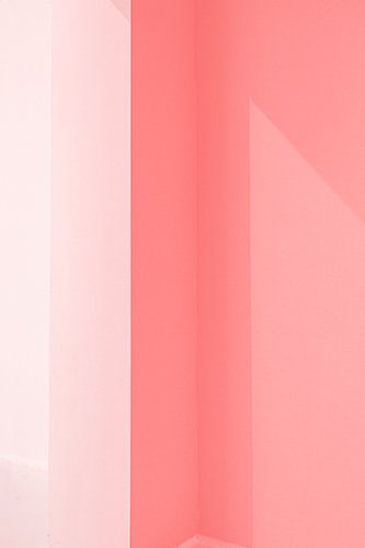 roze frame 1