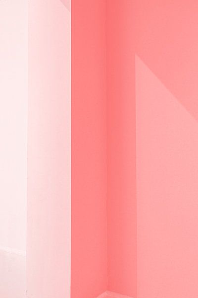 pink frame 1 von Michael Schulz-Dostal
