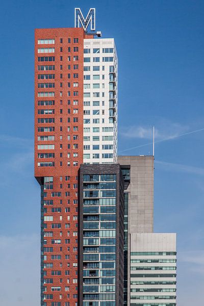 Montevideo Rotterdam by Jasper Scheffers