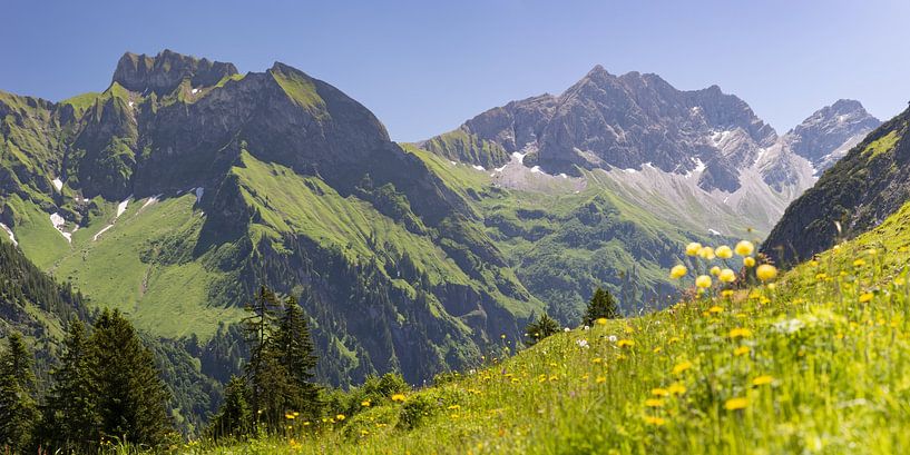 Spring in the Allgäu Alps by Walter G. Allgöwer