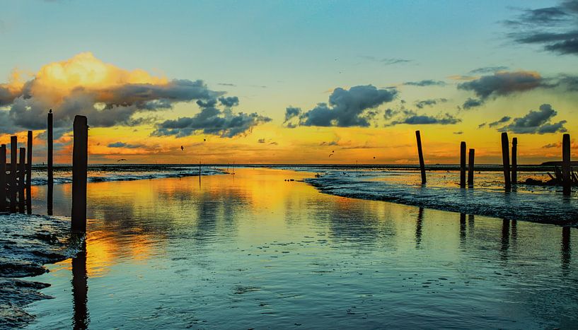 De haven van Sil bij De Cocksdorp op Texel van Wijnand Medendorp