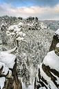 Bastei pine tree in Saxon Switzerland in winter #2 by Michael Valjak thumbnail