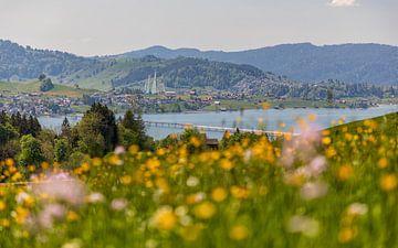 Printemps au Sihlsee près d'Einsiedeln - Suisse sur Pascal Sigrist - Landscape Photography