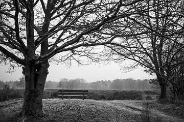 Bench with a view by Meike de Regt