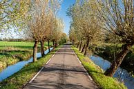 Hollands polderlandschap bij Woerden van Rob IJsselstein thumbnail
