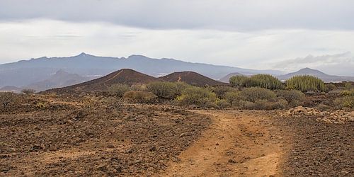 Vulkanisch Landschap bij Montaña Amarilla, Tenerife