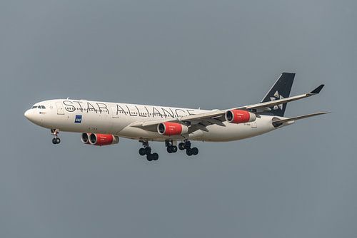 Ein Airbus A340-300 der SAS Scandinavian Airlines in den Farben der Star Alliance kurz vor der Landu
