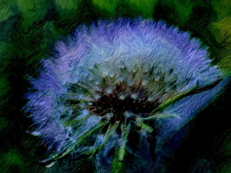 ABSTRACT: BLOEMEN van Photoart-Naegele