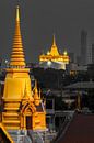 stralend Bangkok van Walter G. Allgöwer thumbnail