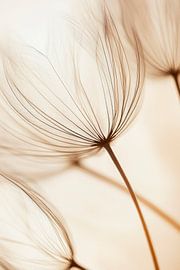 Plant structure nature by Poster Art Shop