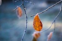 Winter approaching