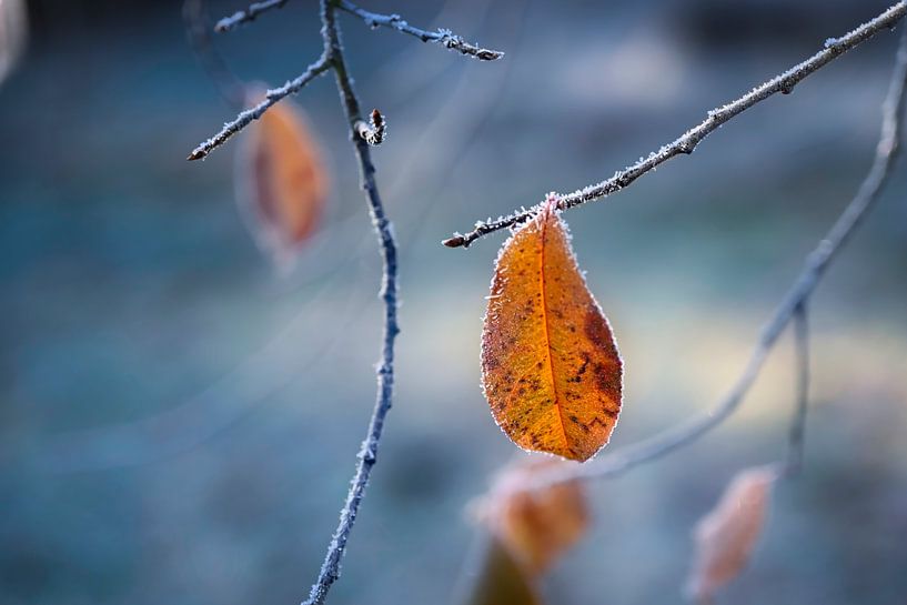 Winter approaching by AldaBB fotografie