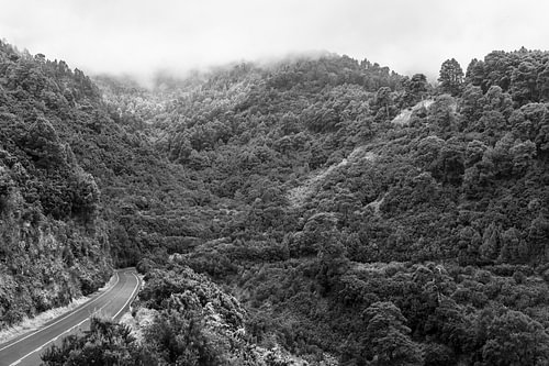 Paysage montagneux mystique en noir et blanc – Route sinueuse à travers la forêt brumeuse