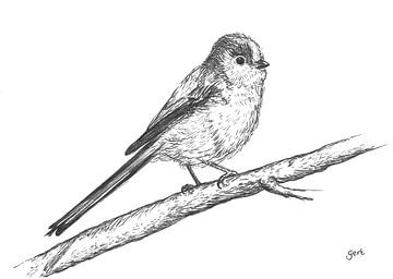 Staartmees - zwart-wit tekening van Gert van de Meeberg