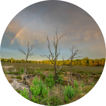 Een boog in de wolken