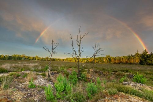 Een boog in de wolken