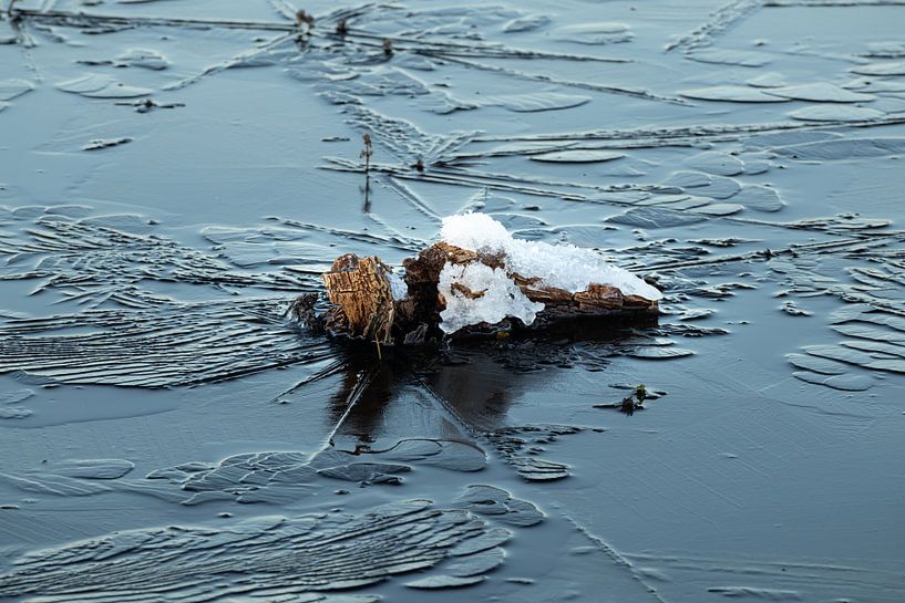 Tree stump under snow in a thin layer of ice. by Bram Lubbers