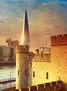 Londen, The Tower, The Shard von Mr and Mrs Quirynen Miniaturansicht