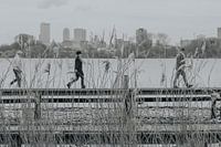 L'OBRA