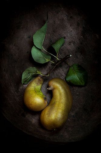 Bronze pears by Diane Cruysberghs