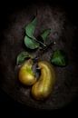 Bronze pears by Diane Cruysberghs thumbnail