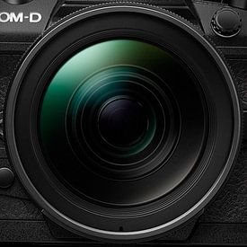 Jolanda van Velzen Profile picture