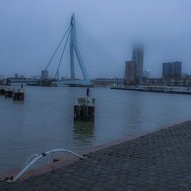 Erasmusbrücke von Koningshaven aus von NatureFrameByExter