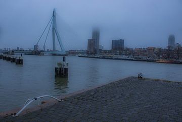 Erasmusbrücke von Koningshaven aus