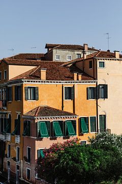 Venetian architecture with green shutters and terracotta roofs