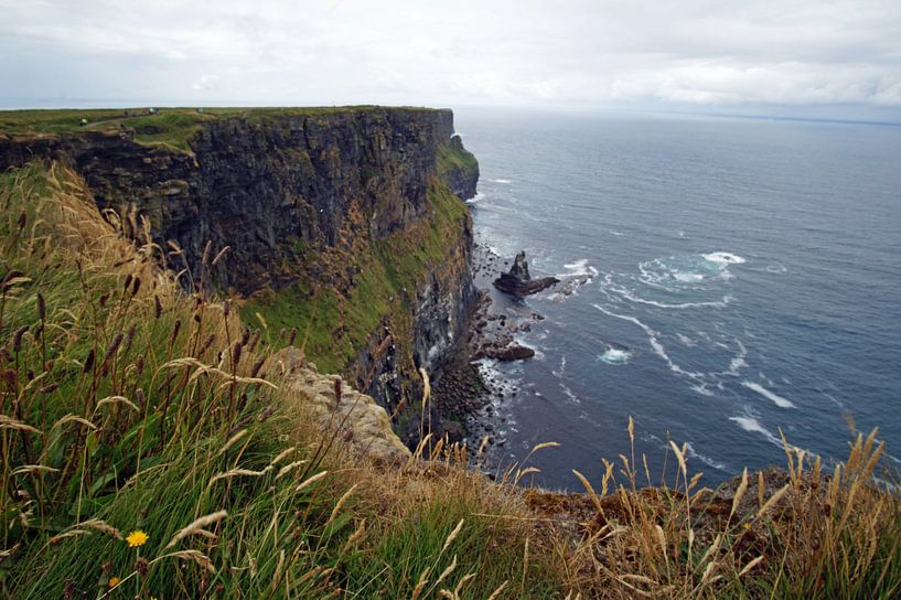 Cliff's of Moher - Irland von Babetts Bildergalerie