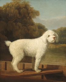 White Poodle in a Punt, George Stubbs