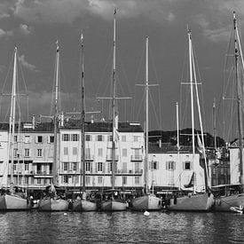 Harbor of Saint-Tropez by Tom Vandenhende