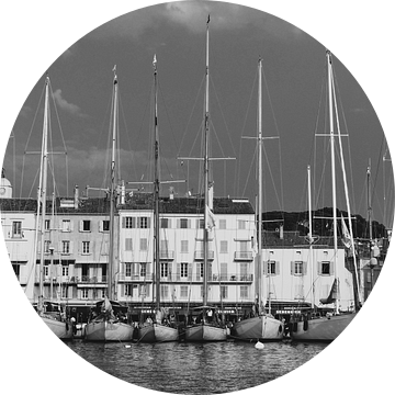 De haven van Saint-Tropez van Tom Vandenhende