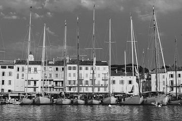 De haven van Saint-Tropez van Tom Vandenhende