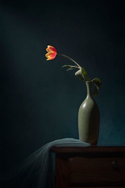 Une tulipe orange par Lydia Jacobs