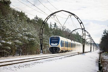 Een sprinter van de NS onder de 'Gotische bogen' met sneeuw van Stefan Verkerk fotografie